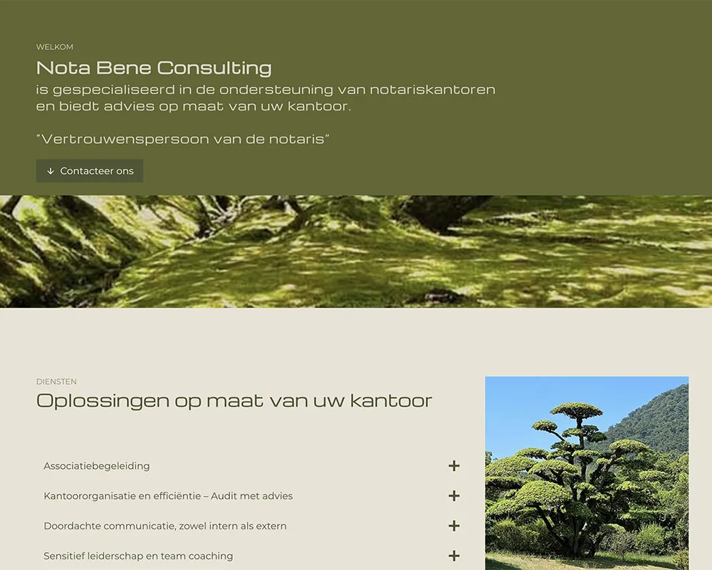 Dhover portfolio :: website nota bene consulting