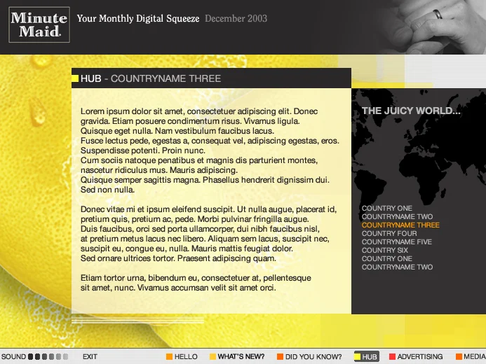 Dhover portfolio :: Ontwerp voor interne nieuwsbrief Minute Maid